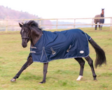 6'0 rhinegold torrent lightweight turnout rug NEW (5683)
