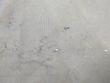 6'6 Amigo Mio 0g combo turnout rug  (5672)