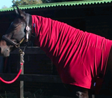 XXL Snuggy Hoods Headless Turnout Hood, Pull On (H173)